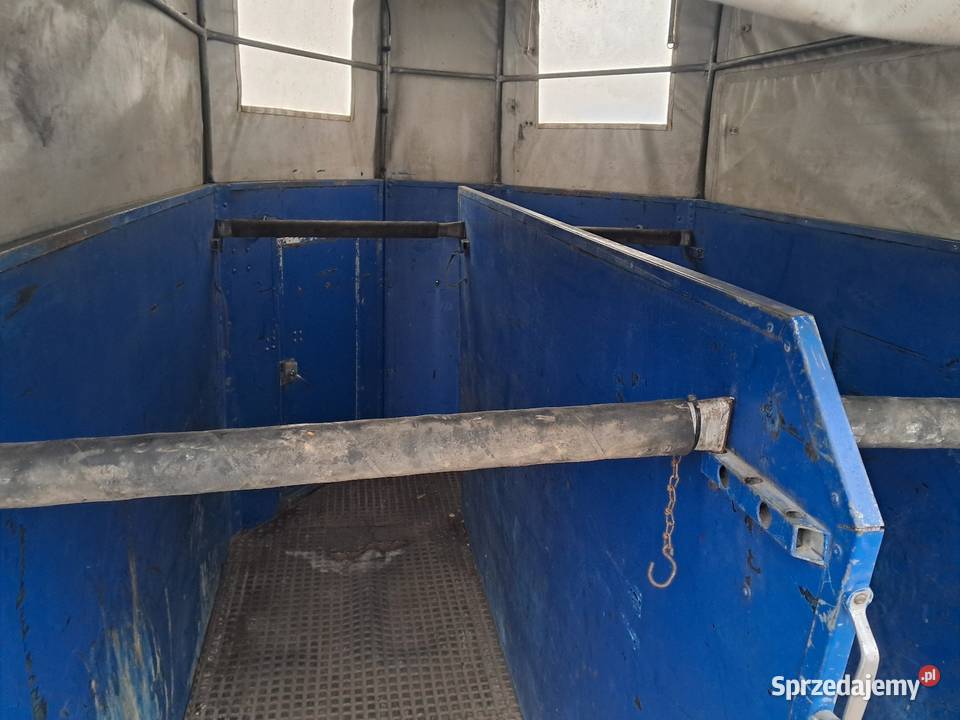 Przyczepa do koni Mogilno