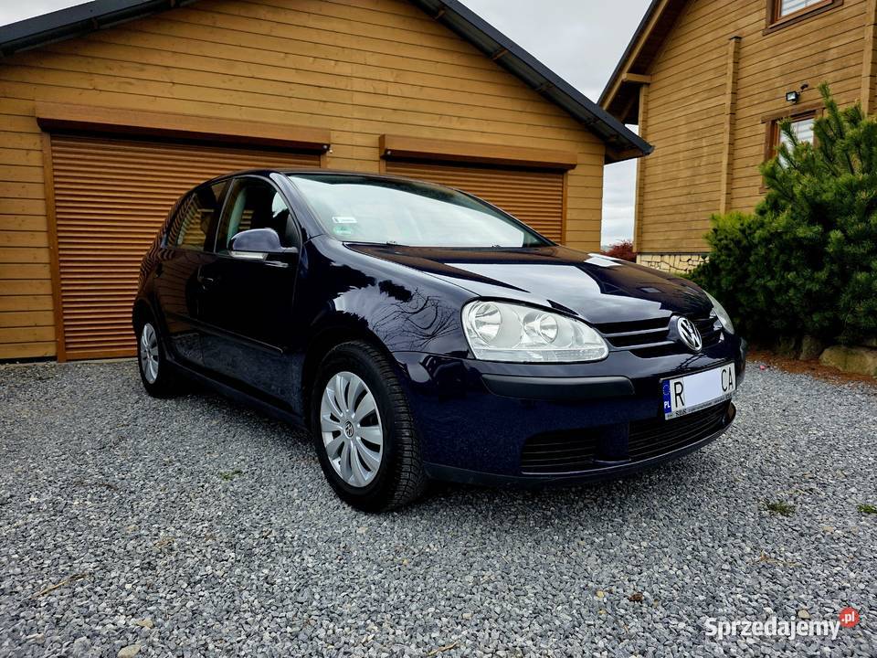 Volkswagen Golf 2005r 14 BENZYNA Rok produkcji 2005 Strzyżów