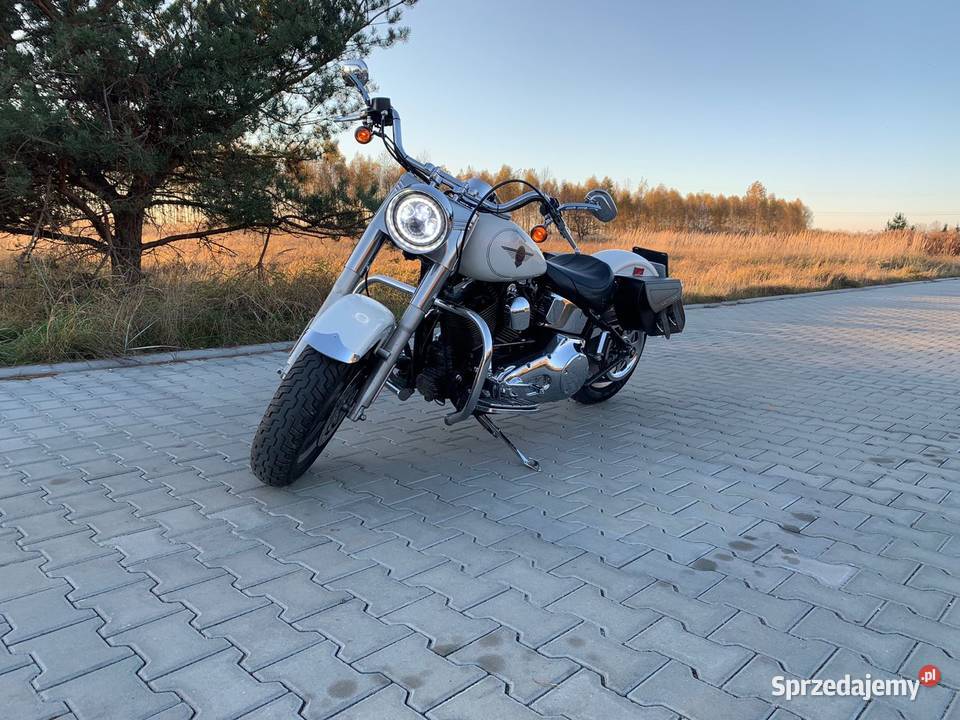 Fat Boy biała perła sprowadzony Częstochowa