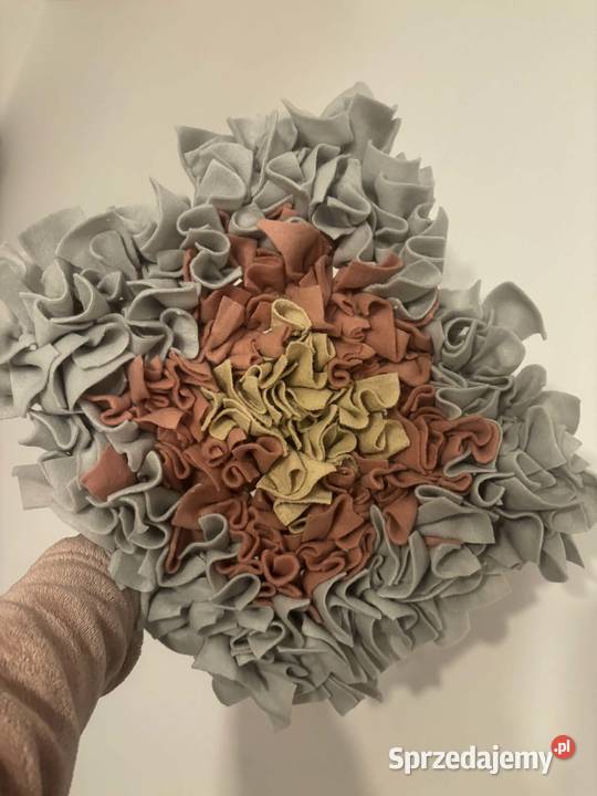 Mata węchowa prezent który merda ogonem pies kot Bielsko-Biała