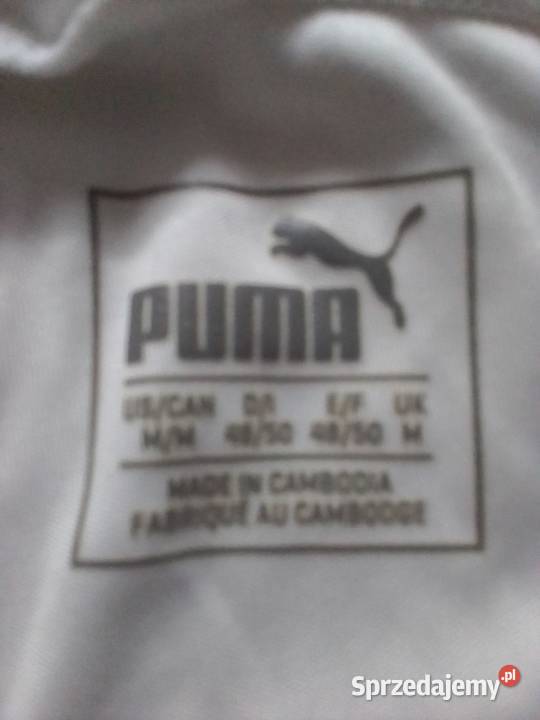 Spodenki Puma Rudka Gołębska