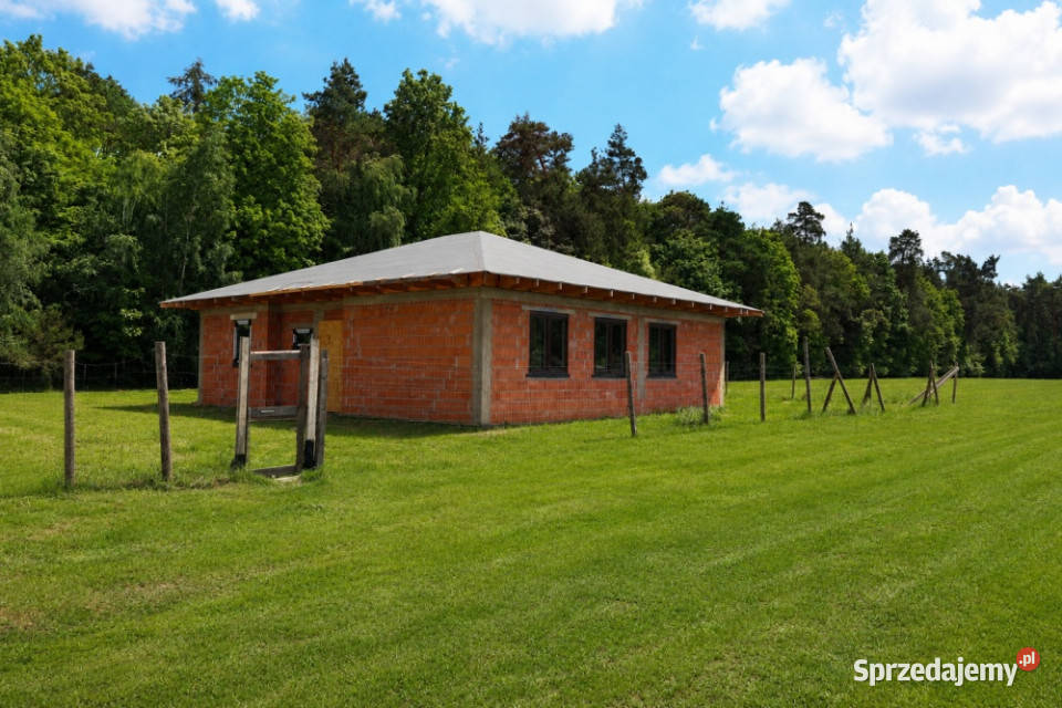 DOM PARTEROWY 11089 m DZIAŁKA 1099 m Grotniki