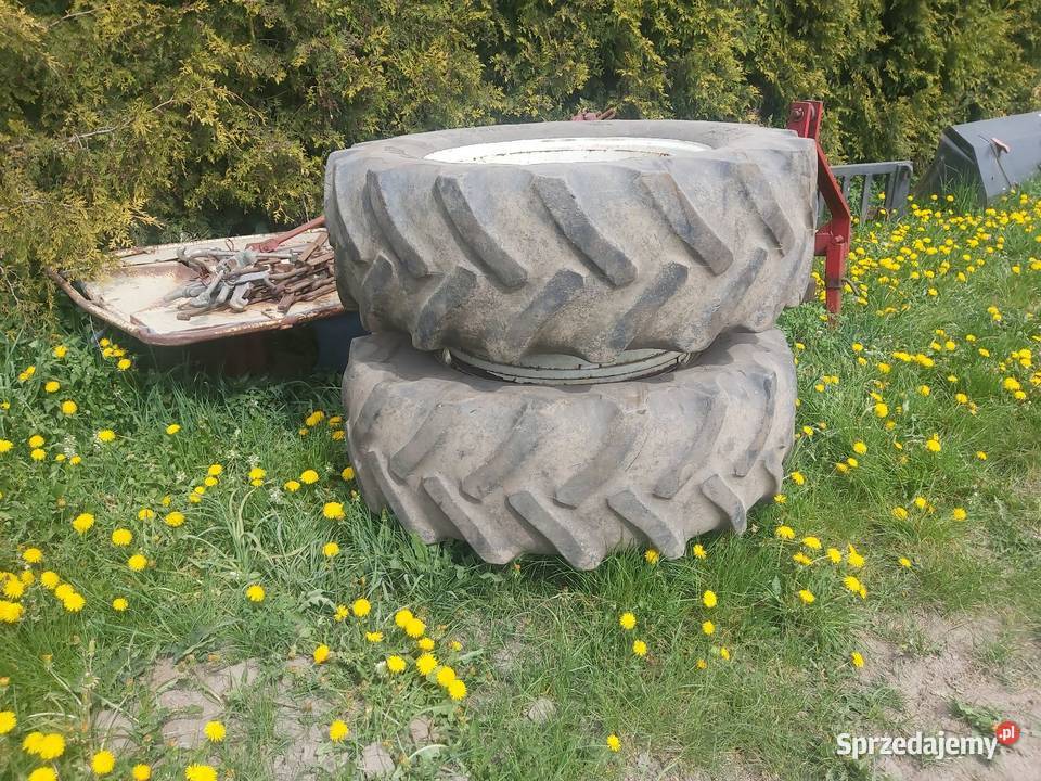 Kola blizniacze Jabłonowo Pomorskie