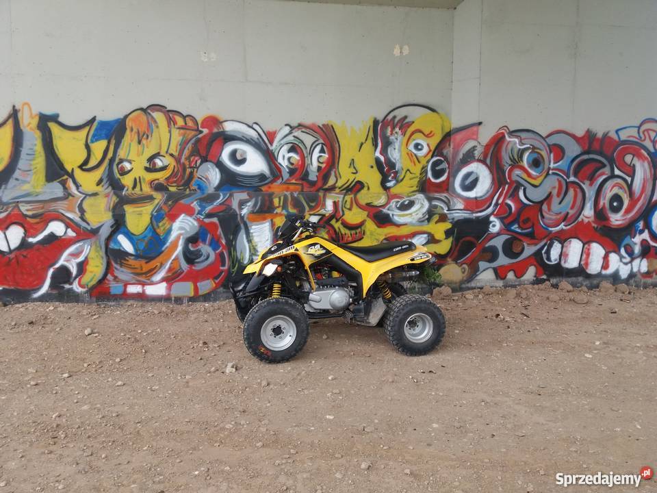 Can Am DS 250 automatyczna