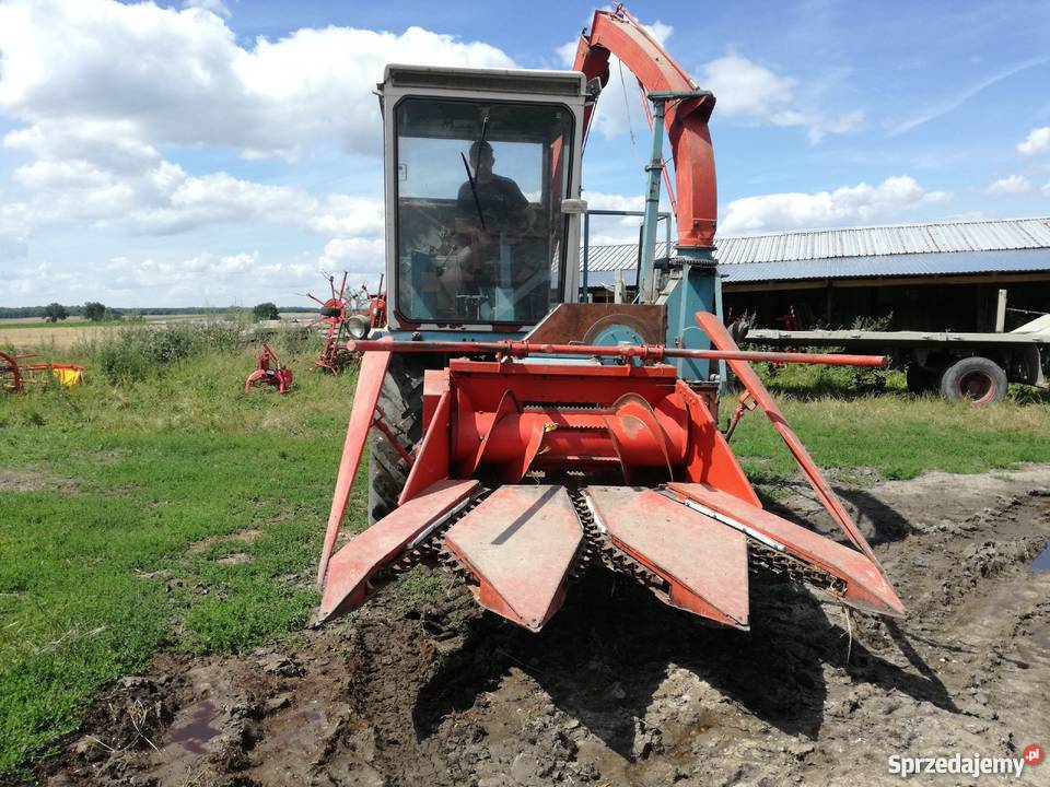 Sieczkarnia do kukurydzy Mengele sf300 Maszyny zielonkowe Komarów Dolny