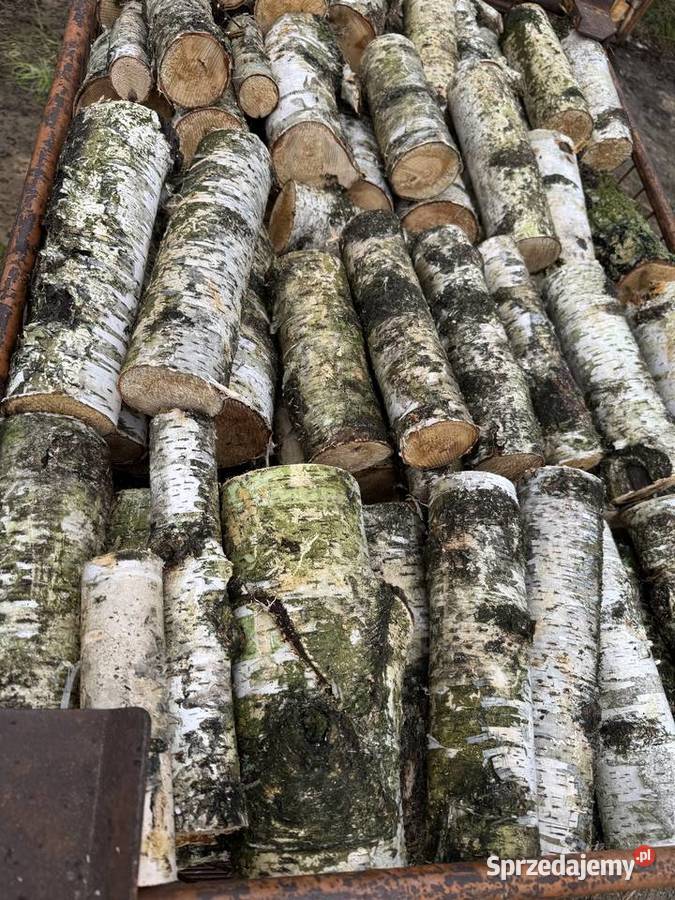 Drewno opałowe kominkowe sosna dąb brzoza Radom