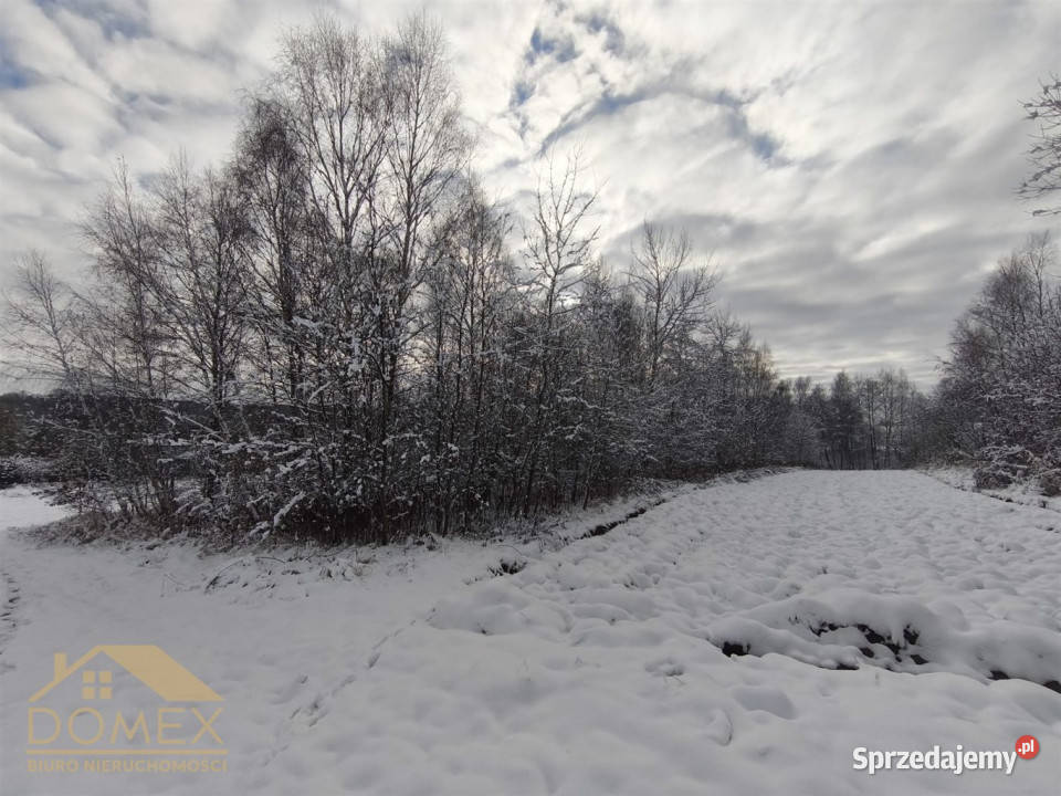 Działka Radlin 3467m2 śląskie