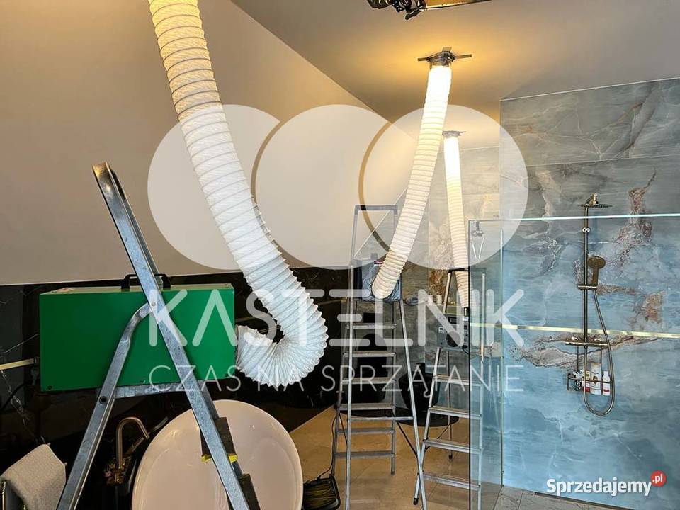 Dezynfekcja zapachów i ozonowanie pomieszczeń Puck