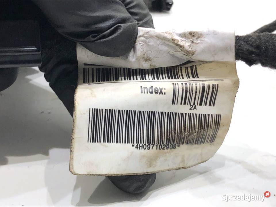 WIĄZKA DRZWI PRZÓD LEWY AUDI A8 D4 4H0971029GS podkarpackie