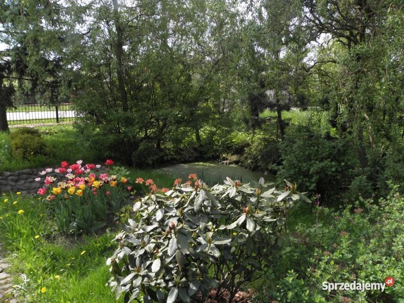 Działka budowlana 2050m2 media Janówka gm Andres łódzkie Janówka sprzedam