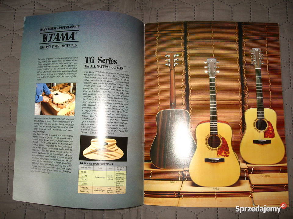 TAMAIbanez Acoustic Guitars katalog gitar Kępice