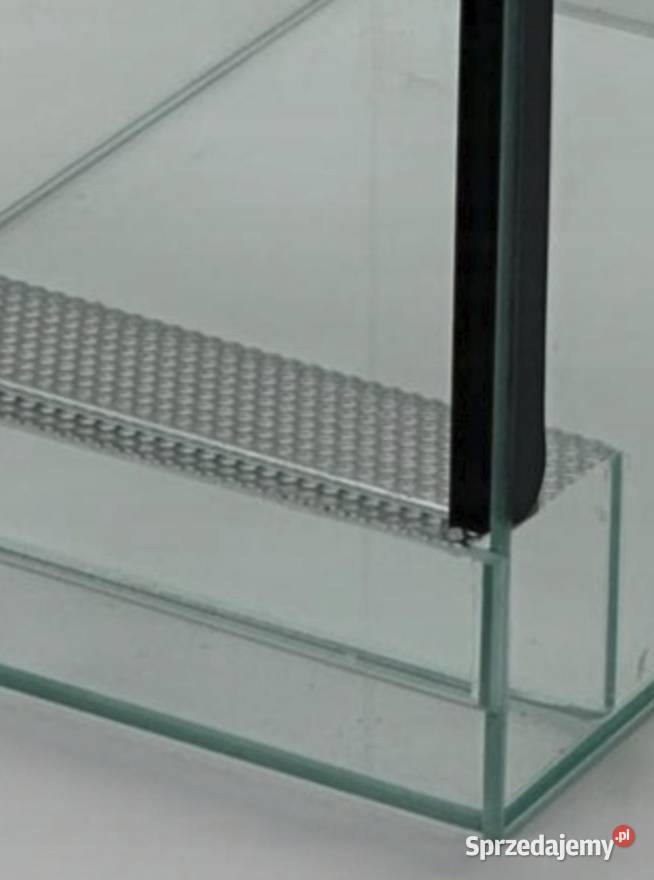 TRANSGLASS TERRARIUM 25X25X25 PRODUCENT Dąbrowa Górnicza