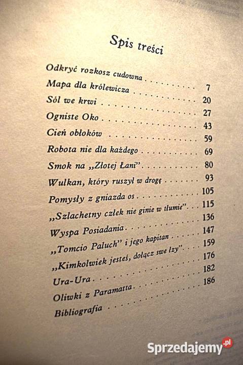 Ani diabeł ani głębina Lucjan Wolanowski Chełmno