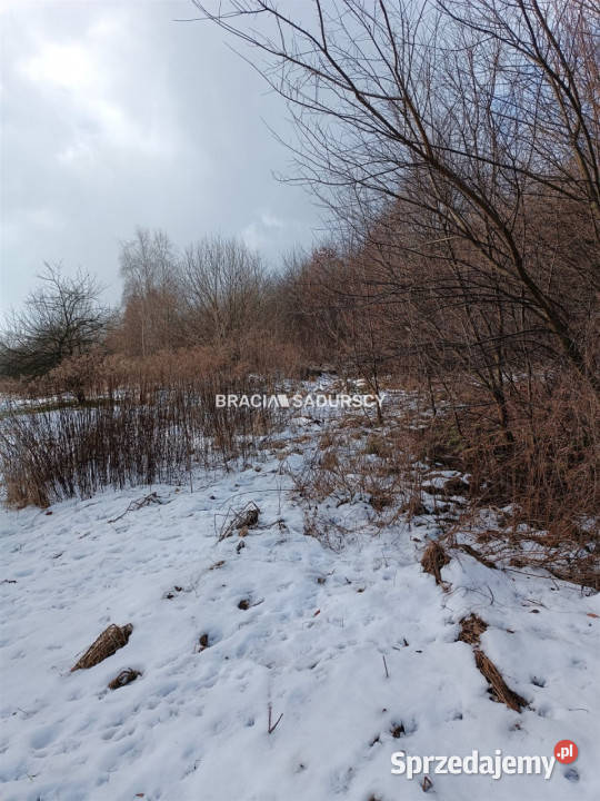 sprzedaży działki 9900m2 Czarnochowice 78m Sprzedaż sprzedam