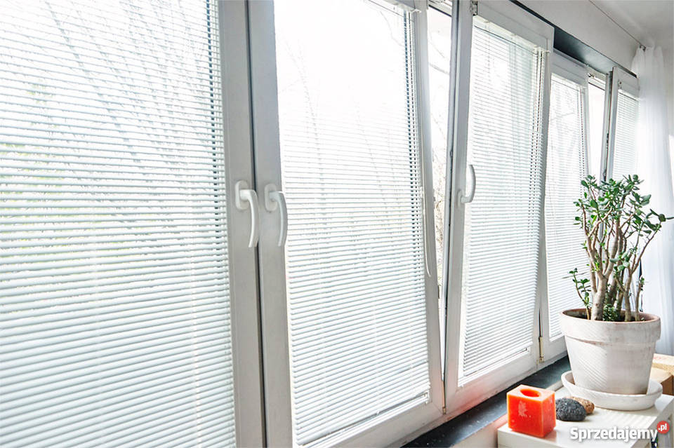 Warszawa Koło parku Warszawa