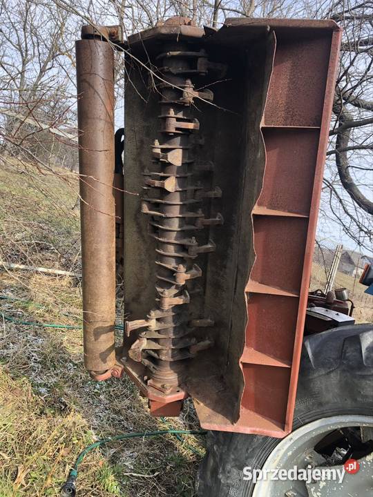 niebieski ciągnik fiat Prusiek