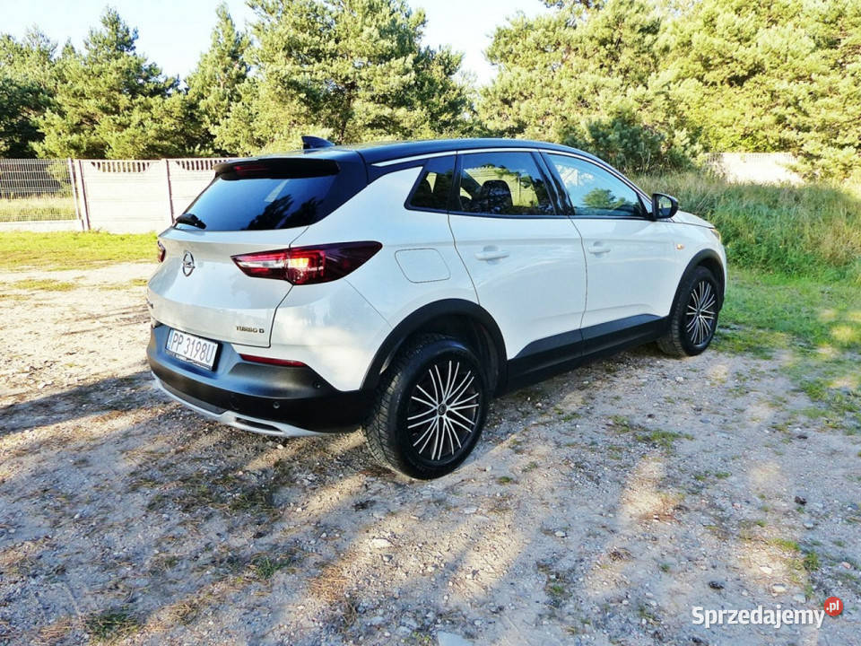 Opel Grandland X 15 Grandland X Piła