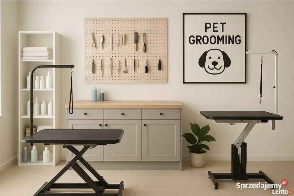 Odstąpię działający salon groomerski w Kielcach 1375zł/m2