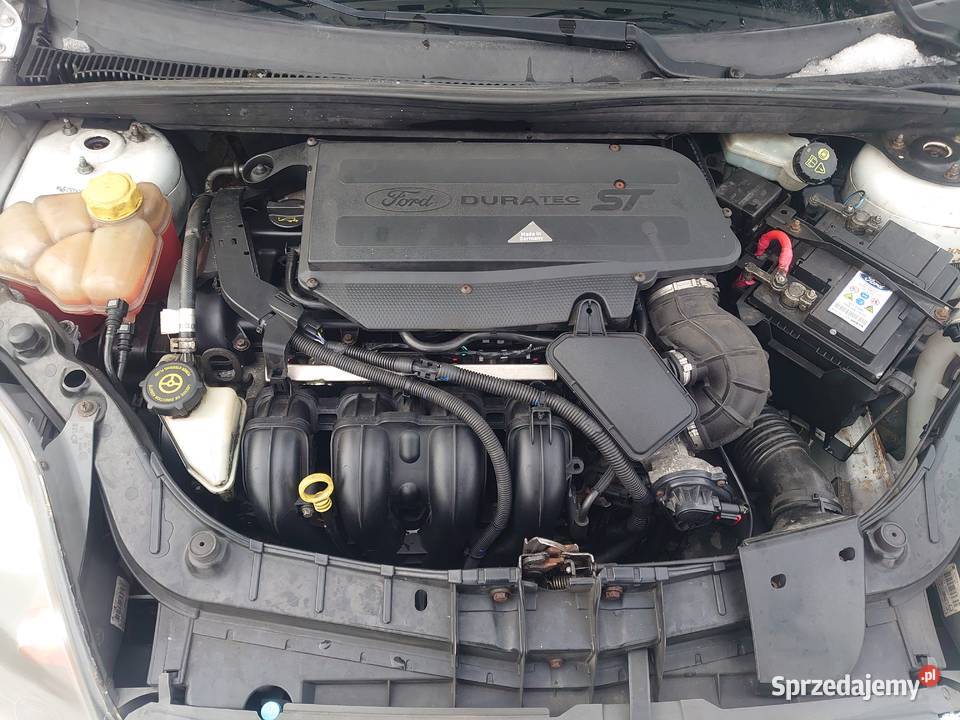 Fiesta st 150 Harta sprzedam