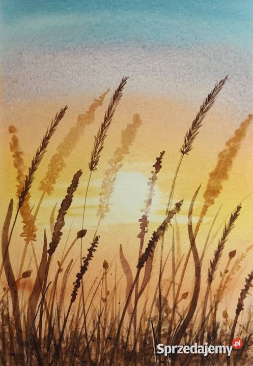 Oryginalna Akwarela Łąka 3 Unikat Sygnowany wielkopolskie Poznań