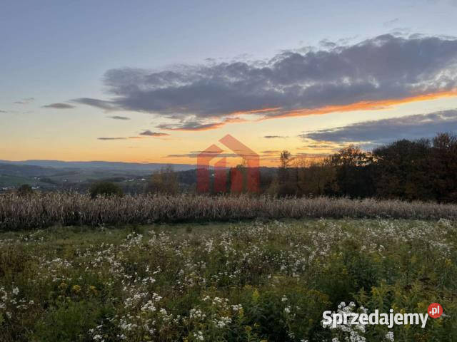sprzedaży działki Wielopole Skrzyńskie 1000m2