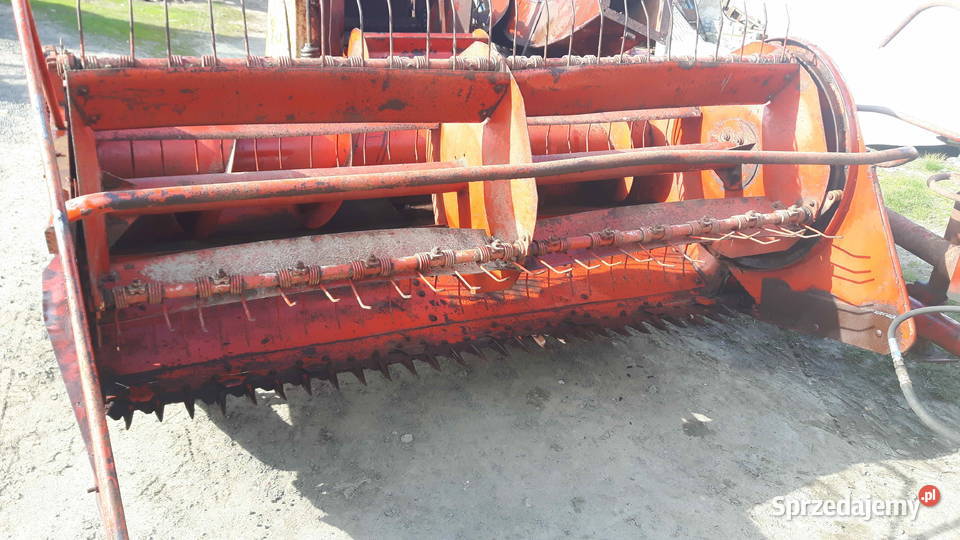 Sieczkarnia Z 305 heder do zielonki przyczepka