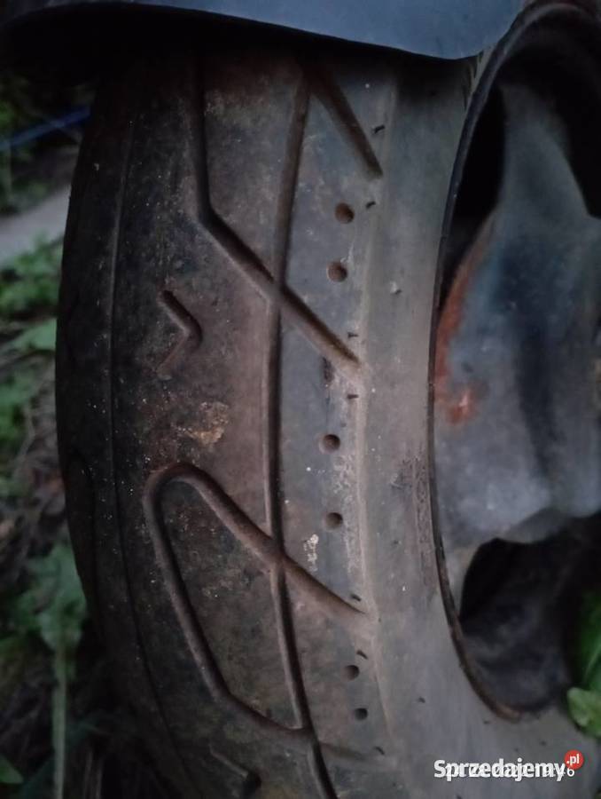 Kallio Explorer 50 Kraków