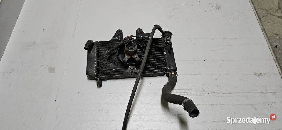 Chlodnica wentylator honda varadero 125 Rybarzowice