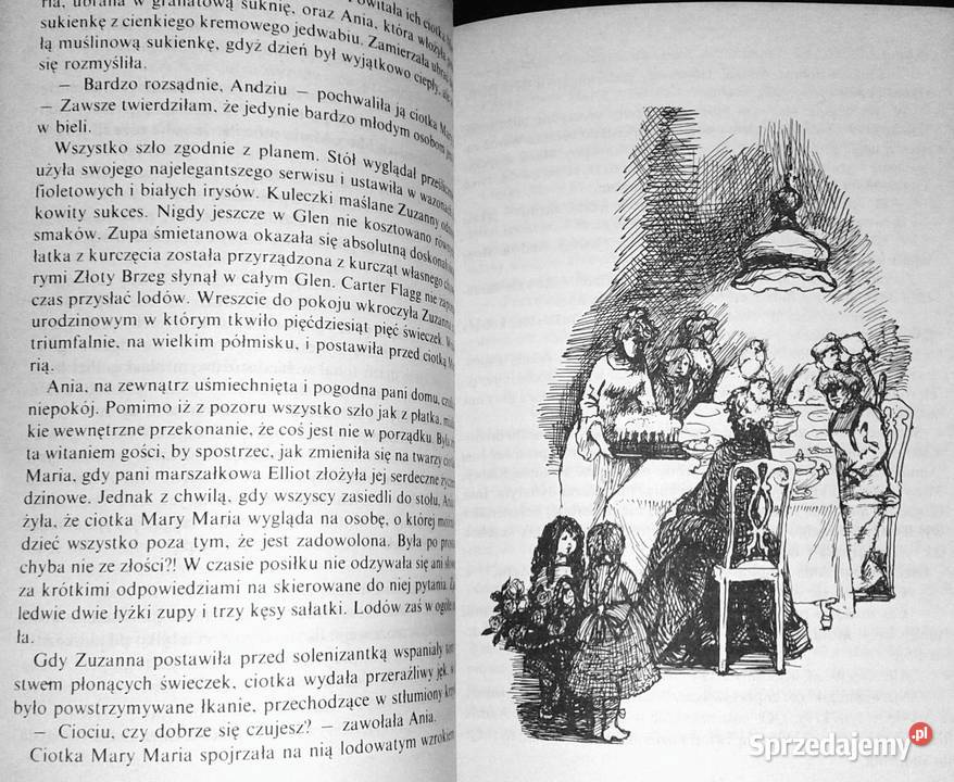 Ania ze Złotego Brzegu Lucy Maud Montgomery Pozostałe Chełm