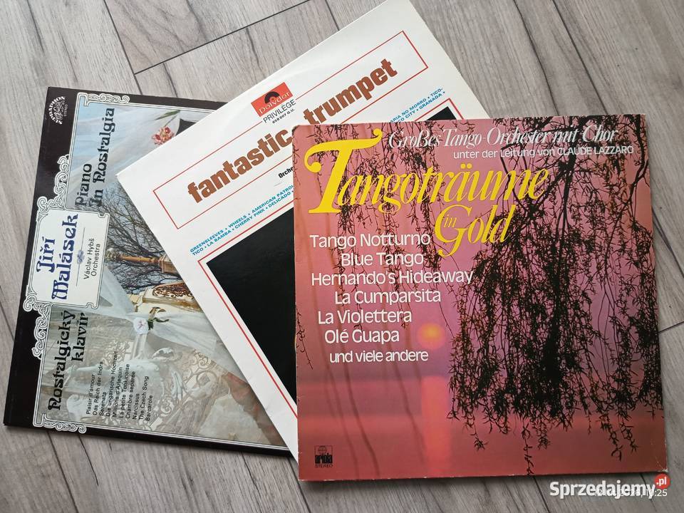 Trzy albumy winylowe z nastrojową taneczną Płyty i kasety Wronki