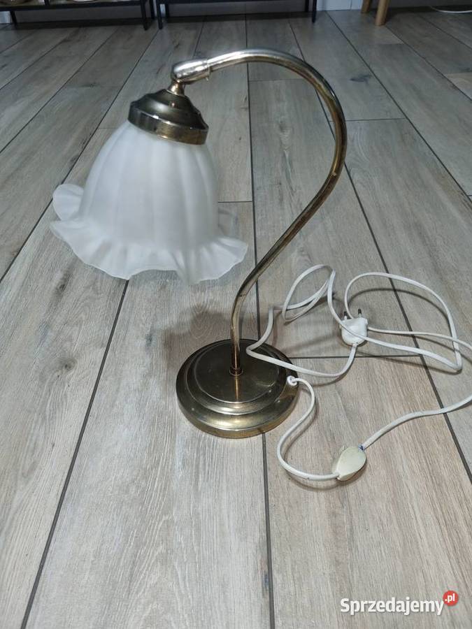 Lampka Biurkowa wielkopolskie Wola Podłężna