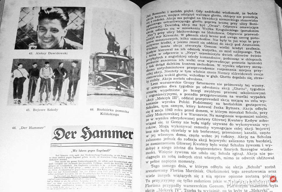 Całym życiem Szare Szeregi w relacji naczelnika Kultura i Rozrywka Chełm