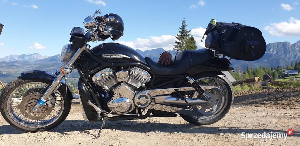 Piękny okaz Harley Davidson V ROD 2004r szprychy nieuszkodzony Kalwaria Zebrzydowska