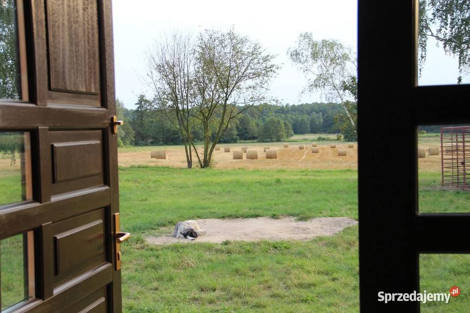 Nieruchomość na wsi Smolino