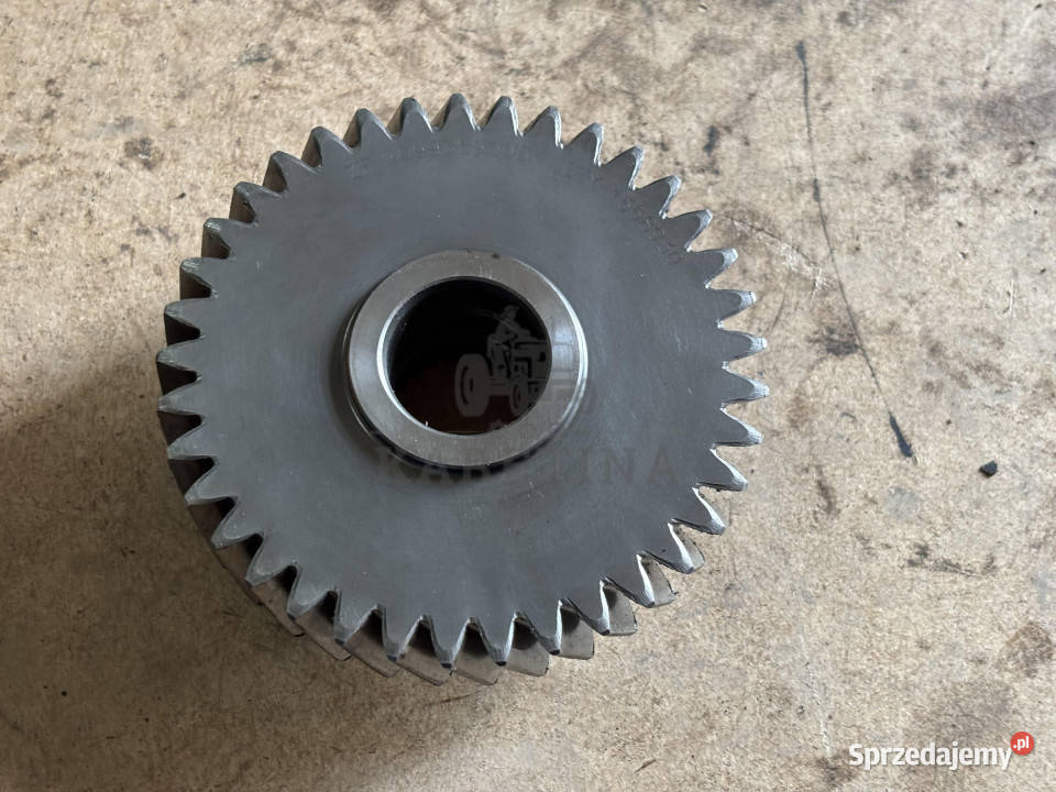 ZF 2099359005 Koło Zębate Jastrzębniki