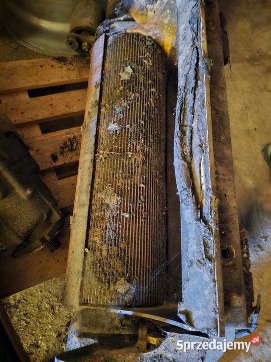 Sieczkarnia Holland FR 650 2019r Felga Wilkowo
