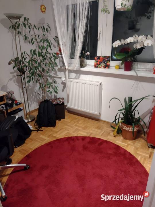 Mieszkanie na wynajem mazowieckie Warszawa