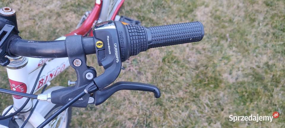 Rower dziecięcy Bingo Suzana 24