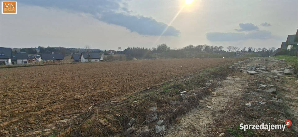 Grunt na sprzedaż Łuczyce Pod Lasem 698m2
