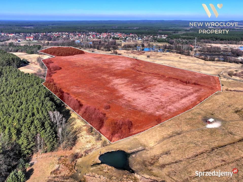 Duża działka rolna MPZP pod zabudowę 192300m2 dolnośląskie Czeszów