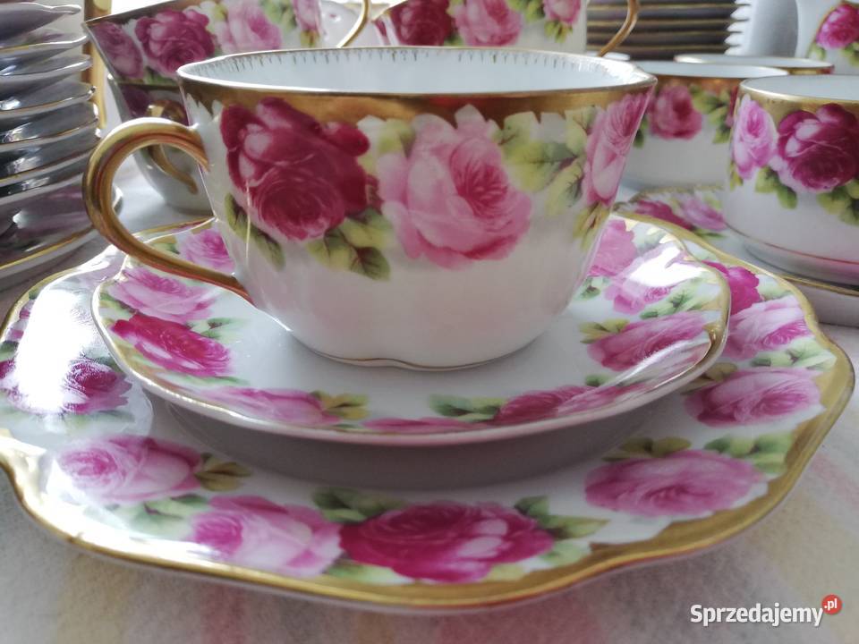 Cudna filiżanka Rosenthal Chryanthene Cacilie Porcelana i szkło Gorlice sprzedam