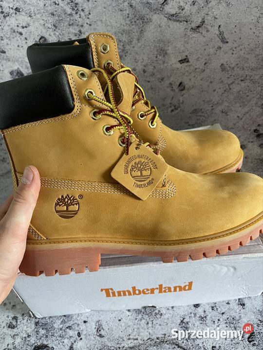 Timberland 6Inch Boots Premium Łapy sprzedam