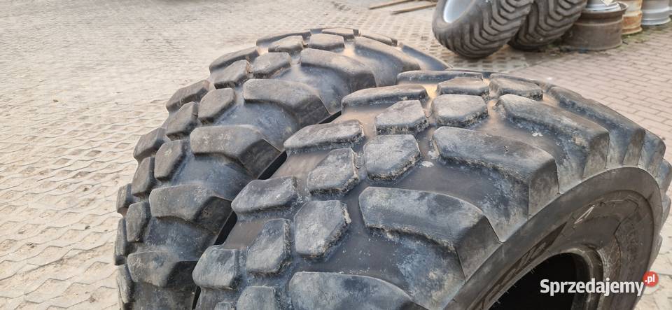 46070r24 4607024 175LR24 44570r24 Apollo 2023r Nowe Miasto Lubawskie