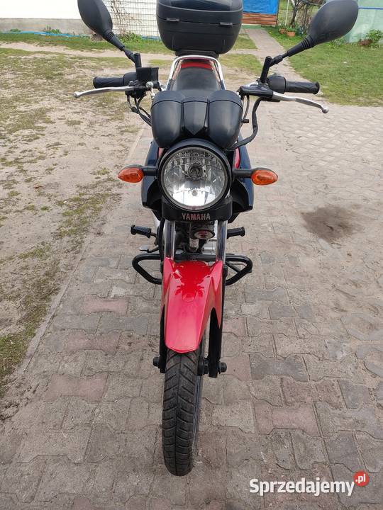 Yamaha YBR 125 Drzewce