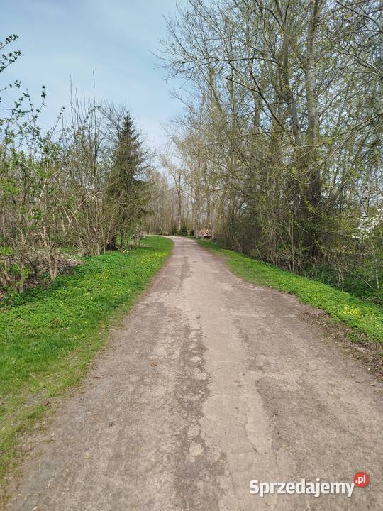 Sprzedam siedlisko z polem ornym klasy Sprzedaż Nieruchomości lubelskie sprzedam