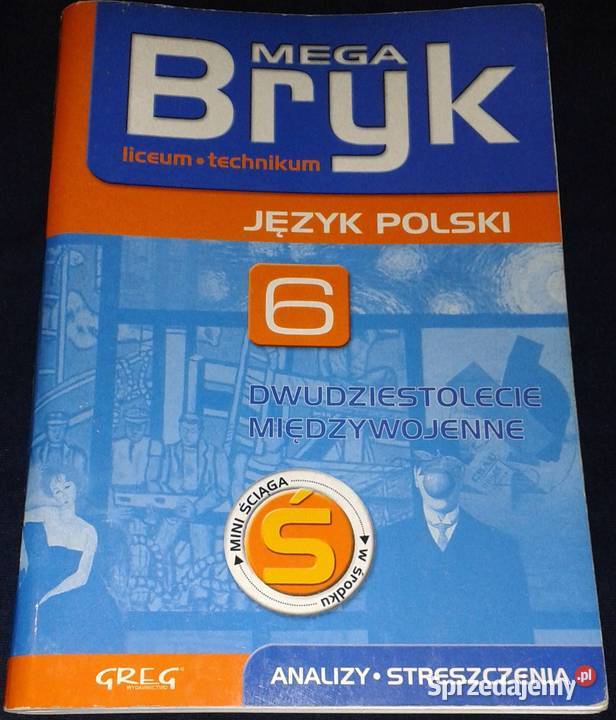 Mega Bryk Język polski 6 Dwudziestolecie miękka Chełm sprzedam