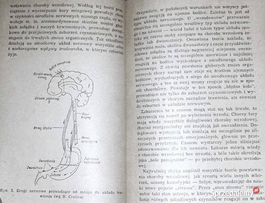 Wrzód żołądka i dwunastnicy Jan Hipolit Bayer Rok wydania 1966 lubelskie Chełm