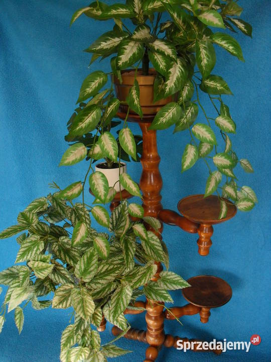 KWIETNIK Z KWIATAMI SZ Bielawa