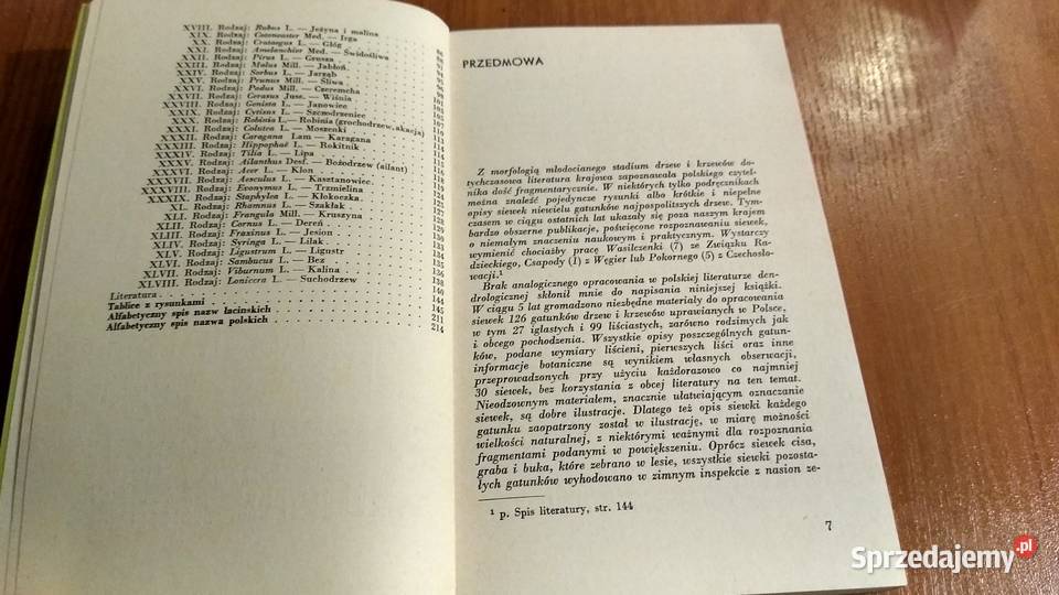 Siewki drzew i krzewów klucz do oznaczania Rok wydania 1972 Gdańsk