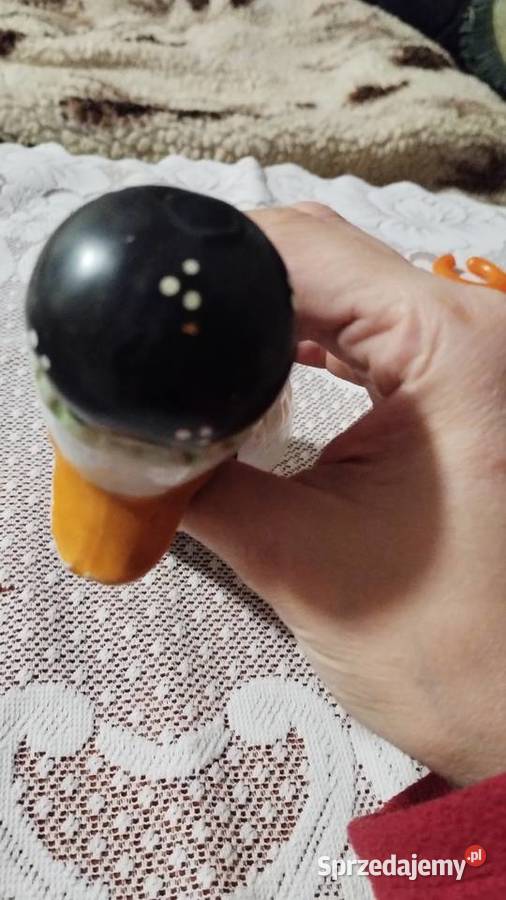 Dekoracyjna kaczka Poznań